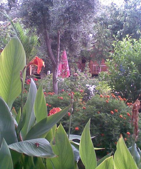 Bykara Otel Side