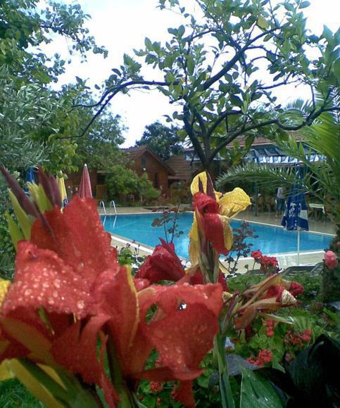 Hotel Bykara
