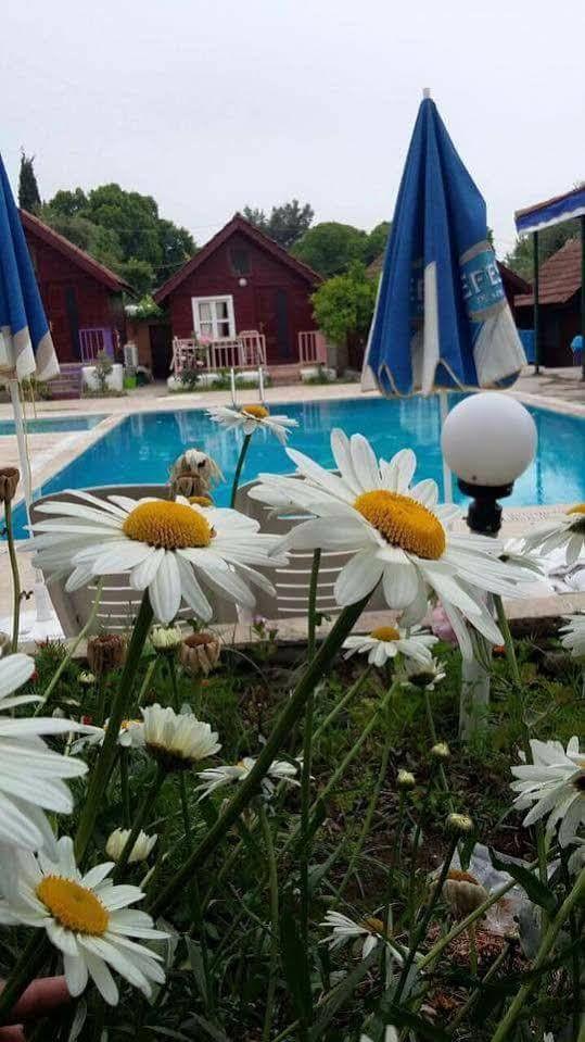 Hotel Bykara